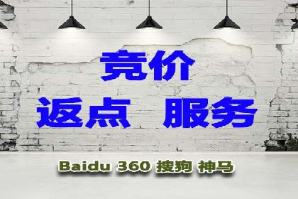某电商平台的SEM投放全流程案例